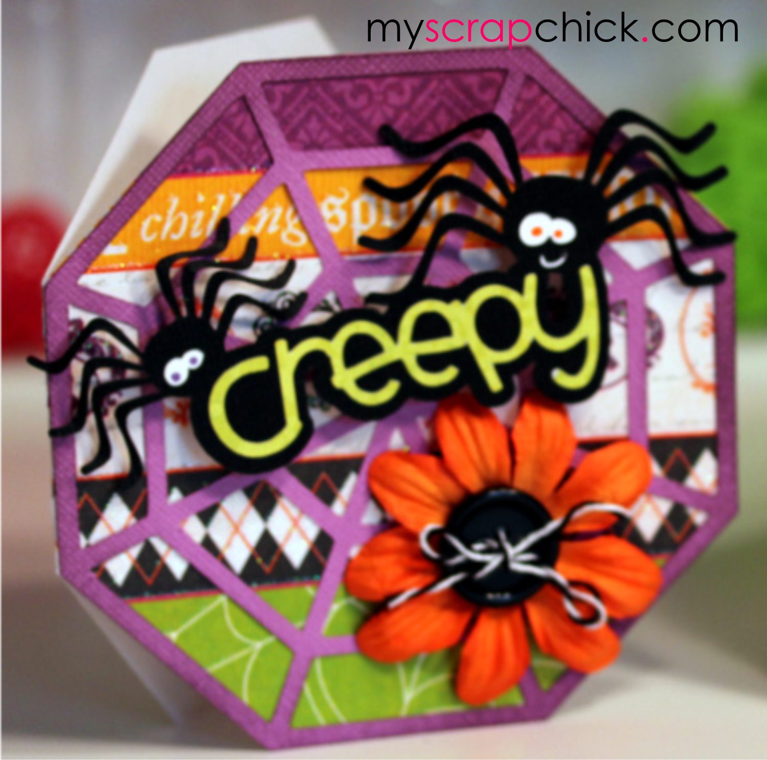Creepy Crawlers Spiders Card