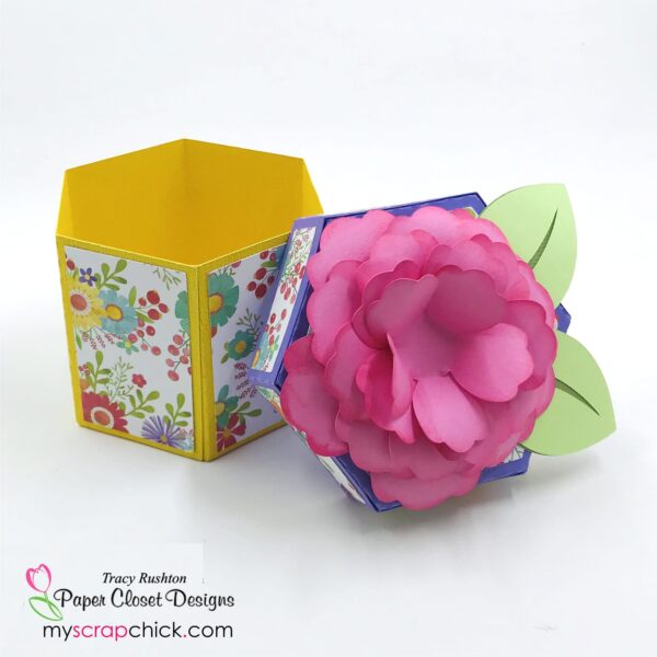 SVG Giftbox opened.3D Flower top